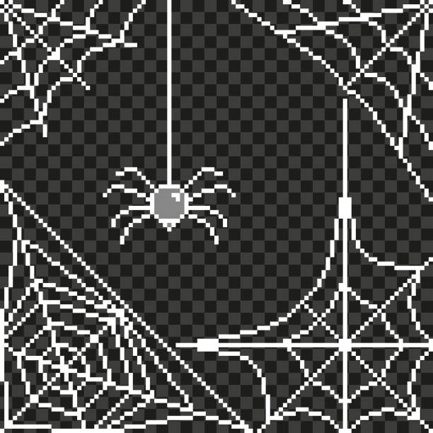 Bекторная иллюстрация Пиксель паук веб кадр подробная иллюстрация изолированный вектор