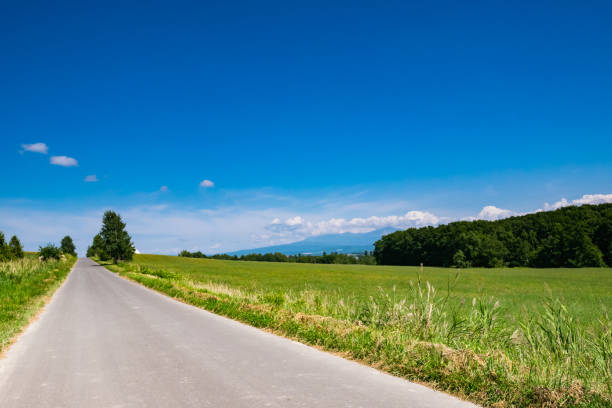 die schöne landschaft von biei stadt im sommer. biei liegt zwischen asahikawa und furano in hokkaido, japan. - biei stadt stock-fotos und bilder