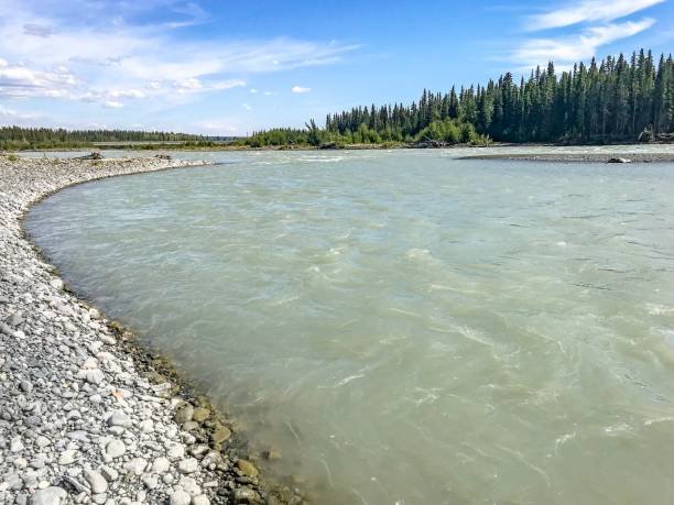 istock Tazlina River - Alaska 1071920086