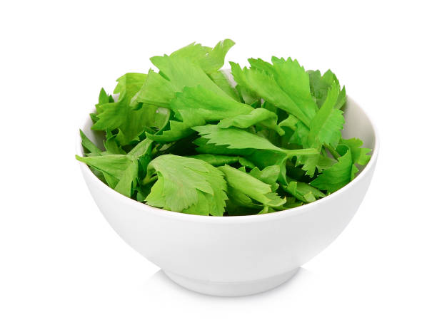 istock oriander leaves in the white bowl isolated on white background 1071932866