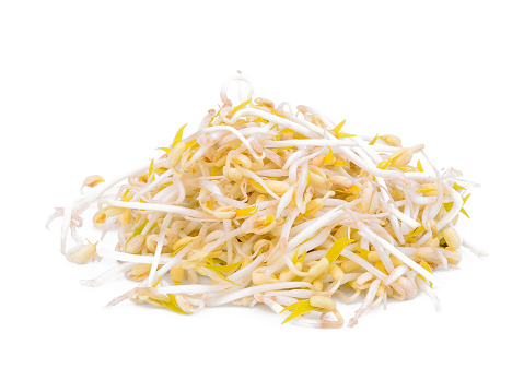 bean sprouts isolated on white background