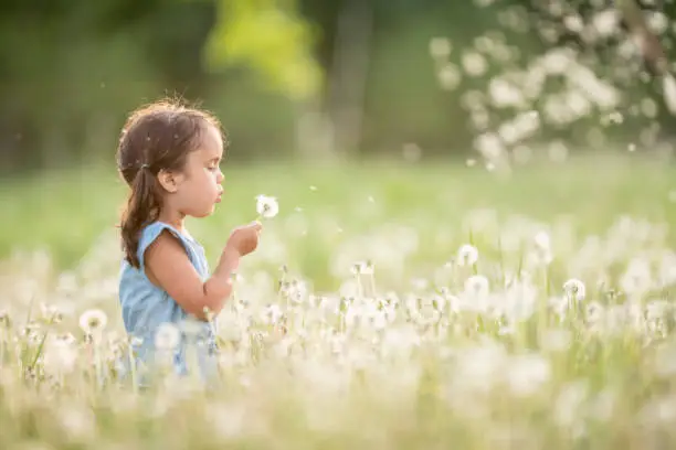 Photo of Blowing A Dandelion