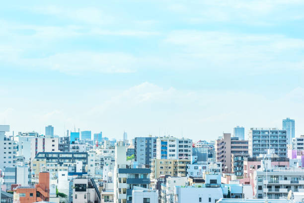 miejski widok z lotu ptaka w dzielnicy koto, japonia - tokyo prefecture building exterior high angle view tokyo tower zdjęcia i obrazy z banku zdjęć