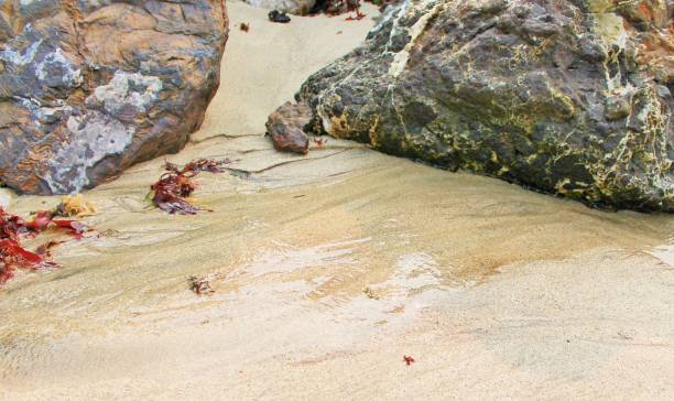 istock Rocks with seaweed running through water stream 1071943786