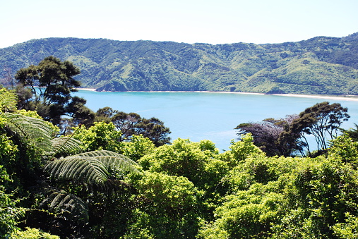 Looking out over Wainui Bay from Wainui Hill, Abel Tasman National Park, Takaka, Golden Bay, in New Zealand's South Island.