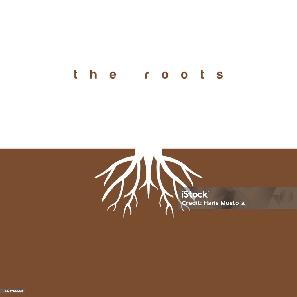 The roots graphic design template vector illustration The roots graphic design template vector Root stock vector