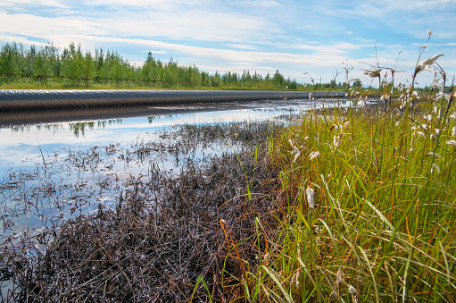 Spilled oil around the oil pipeline