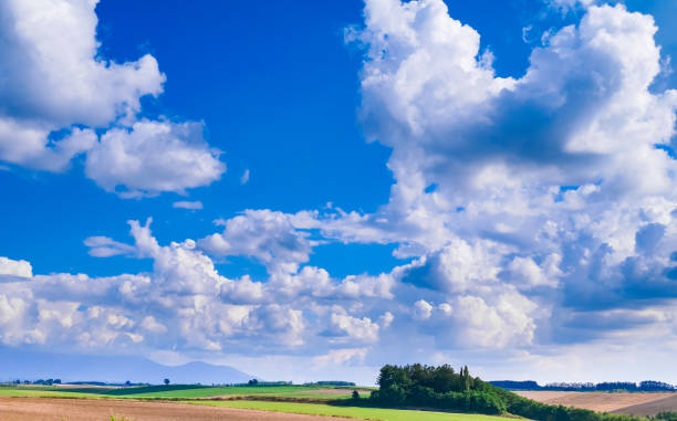 die schöne landschaft von biei stadt im sommer. biei liegt zwischen asahikawa und furano in hokkaido, japan. - biei stadt stock-fotos und bilder