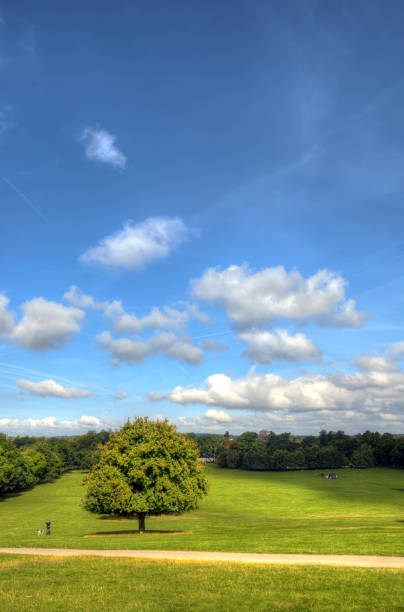 istock Wollaton park Nottingham Nottingham, UK, England 1071997096