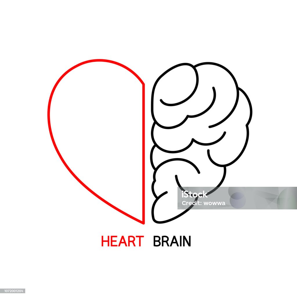 Heart and Brain concept, conflict between emotions and rational thinking, teamwork and balance between soul and intelligence. Outline icon design, vector illustration. Heart Shape stock vector