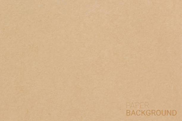 갈색 종이 질감 배경. 벡터 일러스트 eps 10 - backgrounds beige brown close up stock illustrations