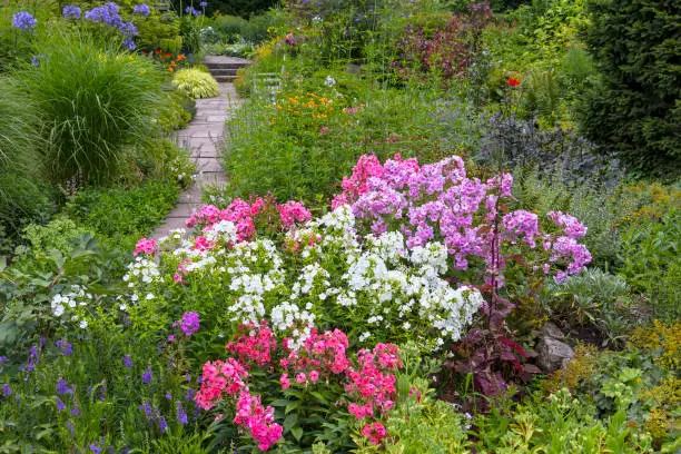 Beautiful garden in summer, with blooming flowers and different plants.