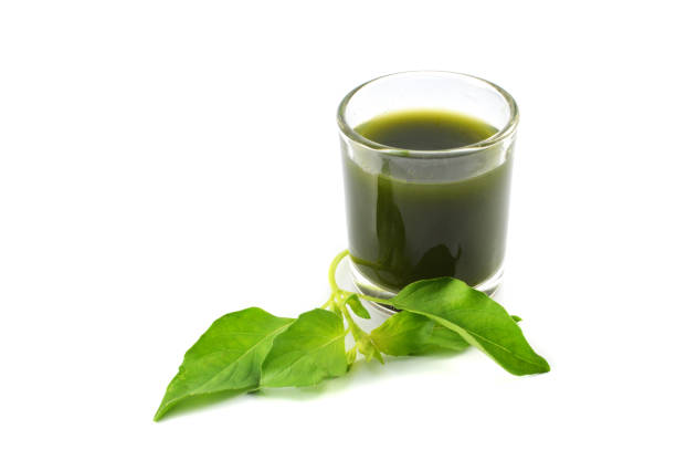 istock Vegetable juice water green herbs tea with basil leaf 1072017320