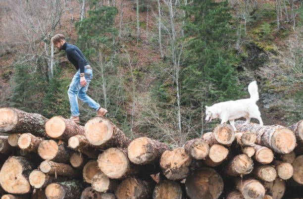 istock Young man and dog on logs in the forest 1072022000