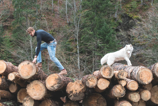 istock Young man and dog on logs in the forest 1072022020