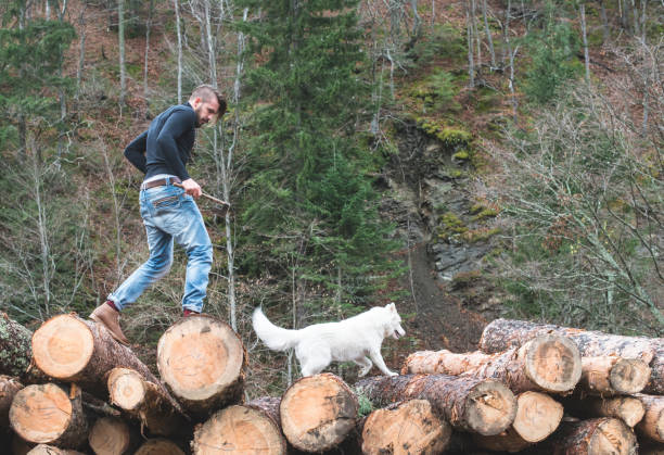 istock Young man and dog on logs in the forest 1072022030