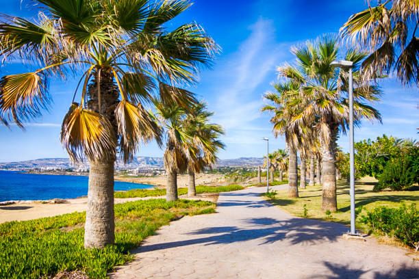 istock Walking path along the sea with palm trees. 1072028088