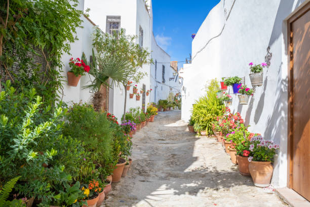 white alley narrowing with plants and flower pots in Vejer old town stock photo