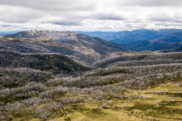 Victorian High Country Aerial view of Falls Creek area, Victorian High country high country stock pictures, royalty-free photos & images
