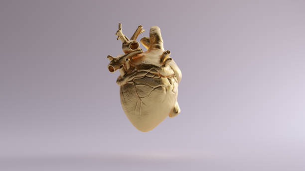 istock Gold Anatomical Heart 1072032416