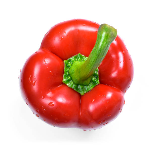 arreglo de verduras pimiento rojo, vista superior - chopped green bell pepper pepper bell pepper fotografías e imágenes de stock