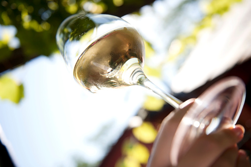 Raising wineglass, half full with white wiine, low angle view