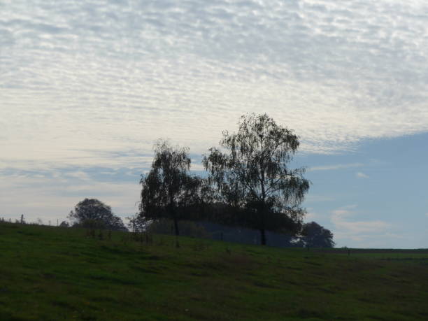 istock Rolling hills and a rural landscape 1072046770