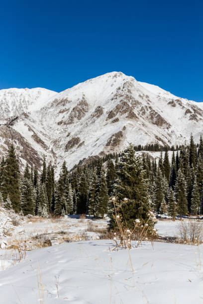 istock mountain landscape in winter 1072047196