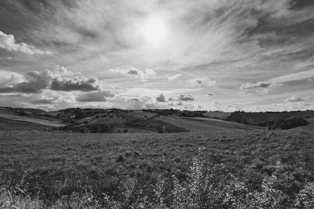istock Black and white countryside landscape , sky with clouds and fields at summer 1072049784