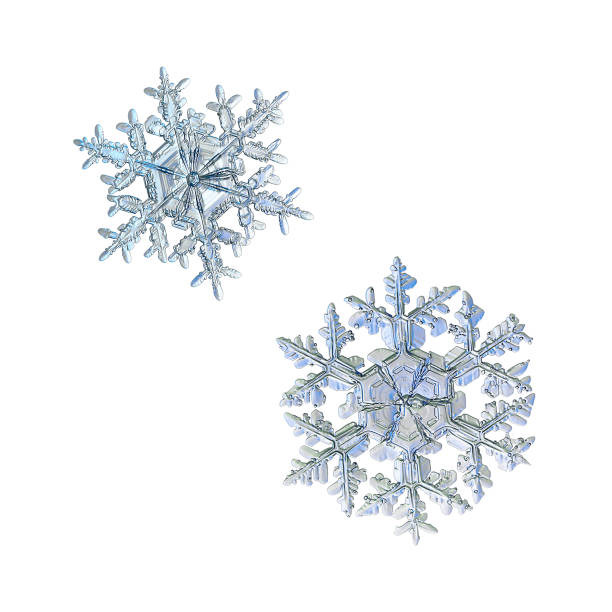 istock Two snowflakes isolated on white background 1072051794