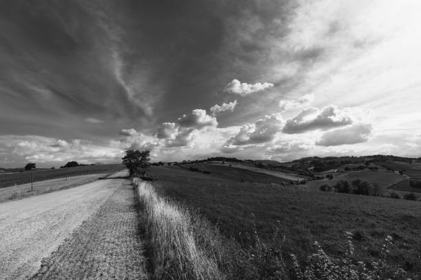 istock Black and white countryside landscape , sky with clouds and fields at summer 1072052252
