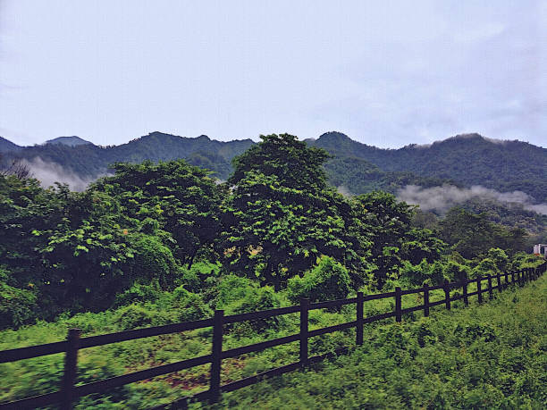 Hill View from Train in the Dooars - West Bengal, India