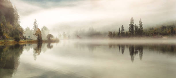 秋の季節に、湖の上 - fog forest morning autumn ストックフォトと画像