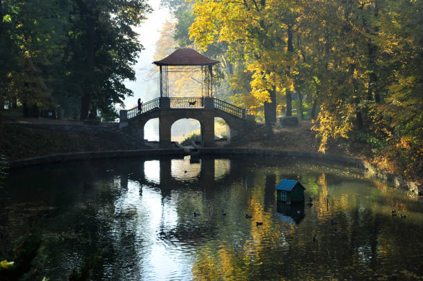 istock Morning in the autumn park.Chinese bridge. 1072064802