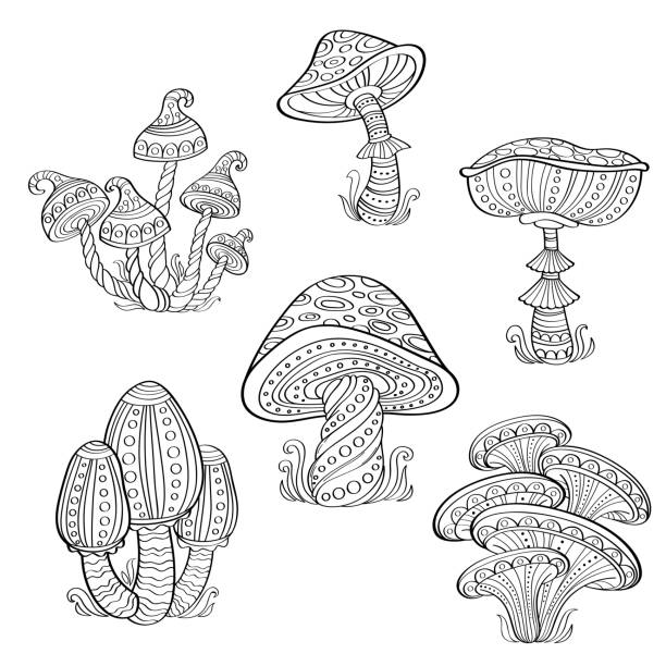 istock Set of stylized ornamental mushrooms. Line art collection. Tattoo. Coloring book 1072071752