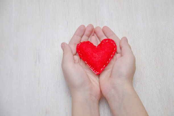 istock small heart in children's hands selective focus 1072074140