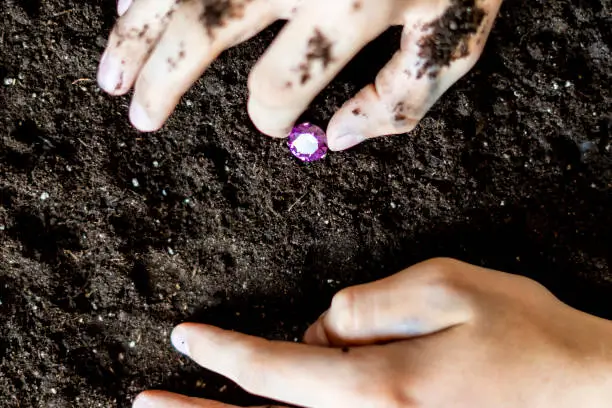 Photo of searcher hands holding a diamond in the soil ground f
