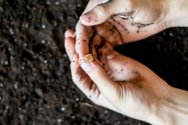 istock finding a precious golden ring in the soil ground f 1072079264