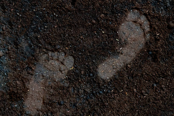 Close-up of humus soil with furrow.