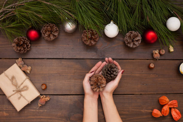 istock Christmas new year female hands holding Christmas tree cones 1072080048