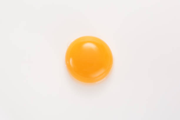 istock Raw egg yolk on a white background. View from above. 1072081356