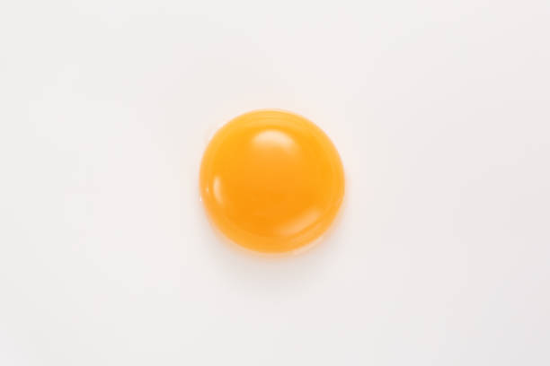 Raw egg yolk on a white background. View from above. stock photo