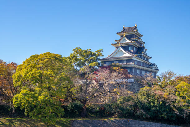Donjon Tower (tenshu) of Okayama Castle in japan okayama castle on November 24th, 2018. it is a Japanese castle with black exterior, so earning it the nickname Crow Castle (Ujo in japanese) okayama prefecture stock pictures, royalty-free photos & images