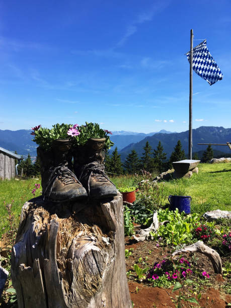 fc bayern - alm bavaria mountain summer stock-fotos und bilder