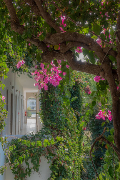 istock Crete, Greek Island 1072096658