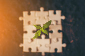 pflanze-cannabis-puzzle.jpg?b=1&s=170x170&k=20&c=a1PaqAoqGNUKsmjK3U3hH6vlg7z00443IRiCzk2206A=