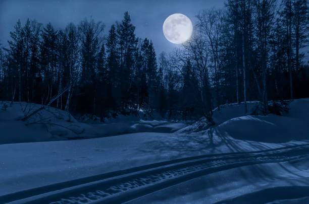 istock Night, winter forest in the moonlight 1072098480