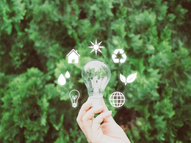 istock Concept save energy efficiency. Hand holding light bulb with icon on blurred tree background 1072100128