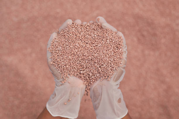 istock fertilizer in farmer hand. NPK fertilizers are three-component fertilizers providing nitrogen, phosphorus, and potassium 1072102196