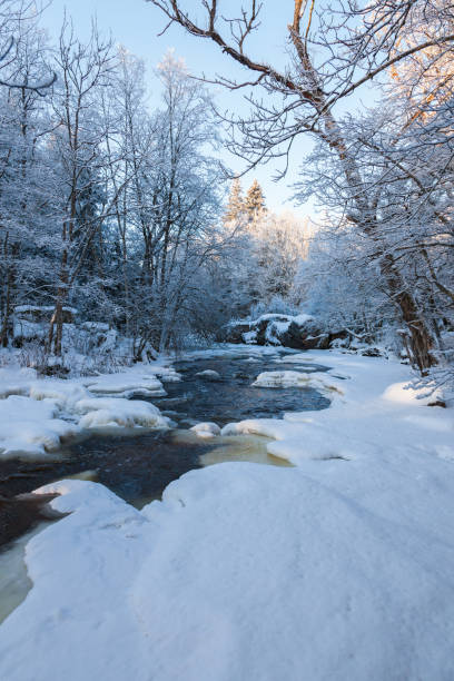 istock River landscape in the winter in the forest 1072102314